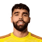 صورة دافيد رايا