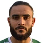 صورة ج. سغايير